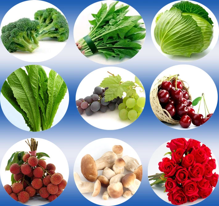 Refroidisseur saisonnier de vide de légumes frais d'approvisionnement professionnel 1